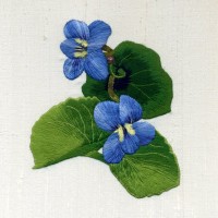 3 Violets 3 Violets