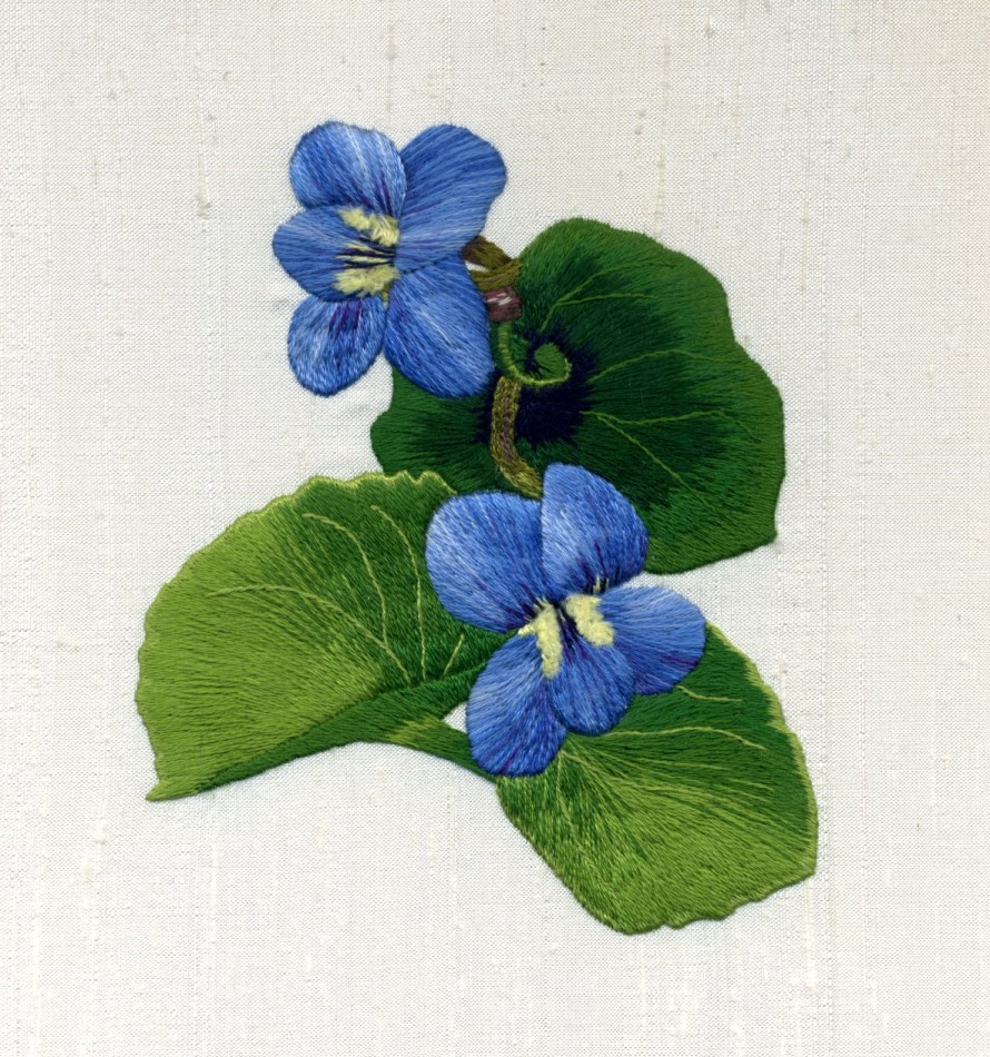 3 Violets